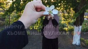 Песня-Зулихан