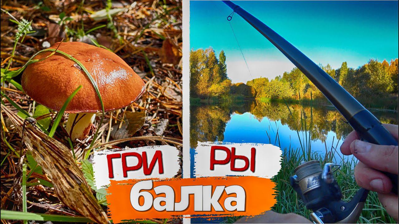 НА РЫБАЛКУ И ГРИБАЛКУ 2022! САМОЕ ВКУСНОЕ БЛЮДО! Отдых на природе. Осенняя рыбалка.
