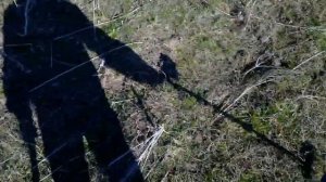 ПОИСК ЧЕРНОГО МЕТАЛЛА НА КОРОВНИКЕ. МЕТАЛЛОИСКАТЕЛЬ СЛОМАЛСЯ.