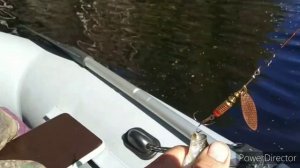 Вездеход Горец-М. Поездка на 3-х. вездеходах на рыбалку!!!