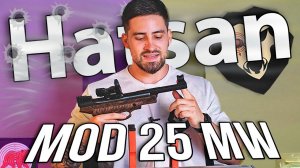 Hatsan MOD 25 MW 4.5 мм (3 Дж, пластик под дерево) видео обзор