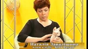 Як правильно виховувати сфінксів у домашніх умовах. "Ранок. Кава. Позитив" 02 06 15