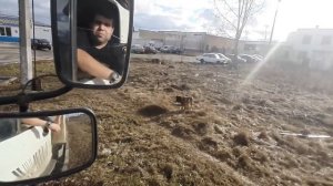 ДОРОГА С ПОДСВЕТКОЙ ПОД ВОРОНЕЖЕМ #ДАЛЬНОБОЙ НА ГАЗОНЕ НЕКСТ
