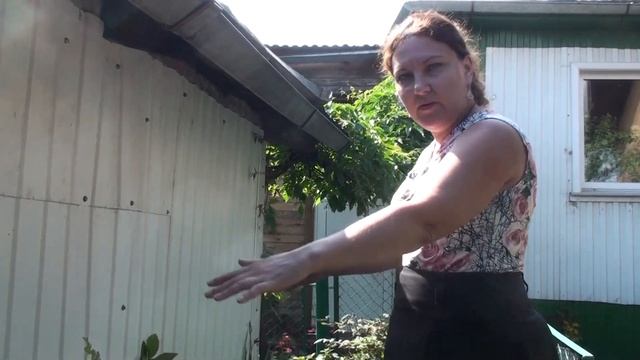Составляем красивую клумбу из однолетников и многолетников. Долгих Анна.