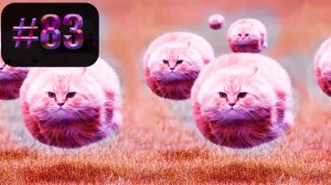 625 секунд Смеха ??  | UNUSUAL MEMES приколы лучшие до слез ?? 2022 Funny cute cats compilation