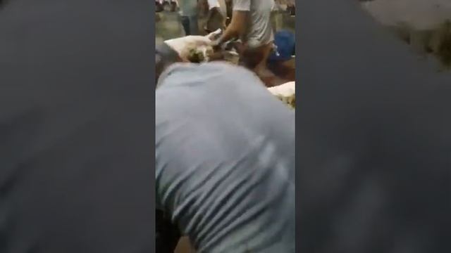 Как быстро снять шкуру барана смотреть онлайн