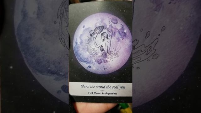 Working Through Your Fears ??♂️??♀️ Weekly Oracle read for November 8-14, 2021 #guidance #oracle смотреть онлайн