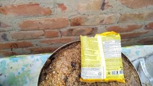 ОТ ЭТОГО МЕХ НУТРИИ БУДЕТ ПРОСТО ШИКАРЕН. Секретная добавка в кашу нутрии.