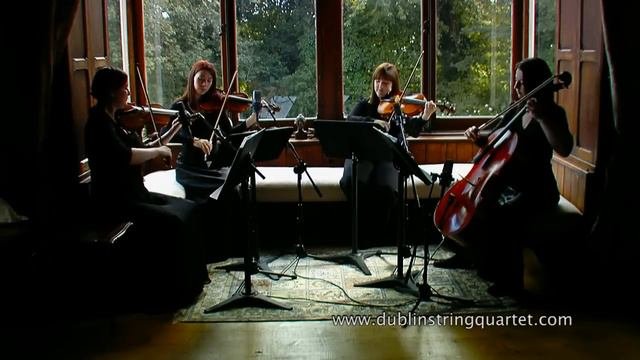 Dublin String Quartet: Air On A G String