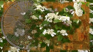 Красивые песни о Любви!