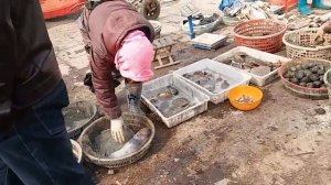 Китайский рыболовный флот в Даляньване