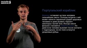 Многообразие и значение кишечнополостных. Видеоурок 8. Биология 7 класс