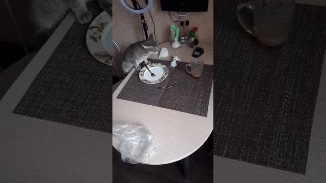 Карточка видео