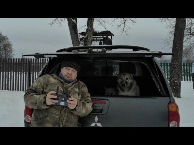 С лайками в Борисово