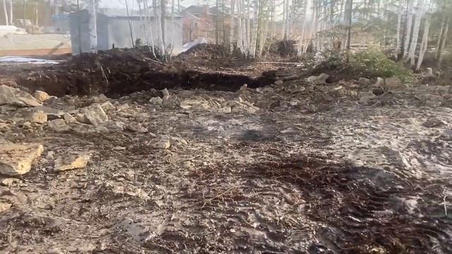 Расчистка участка | Вывоз корней и земли