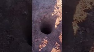 Мелкозаглубленный ленточный фундамент с буронабивными сваями
