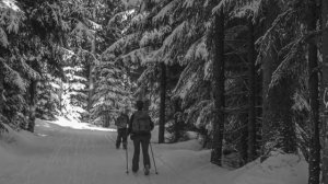 Bajuschki Baju (Баюшки баю) / Schlaf mein Kind… | Nacht | Abend | Lieder