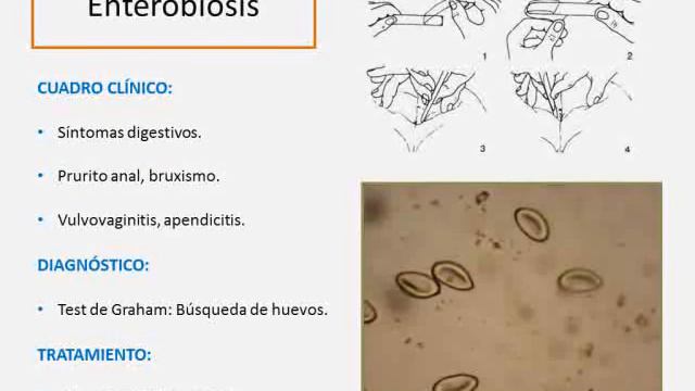 Tmmed infectología - infecto patron 5 3 смотреть онлайн