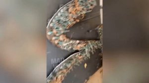 🔥Тест на психику | Насколько у тебя сломанная психика ?