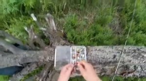 Уральская рыбалка Хариус и окунь на лайтовый спиннинг. Ловля на малой реке Урала.