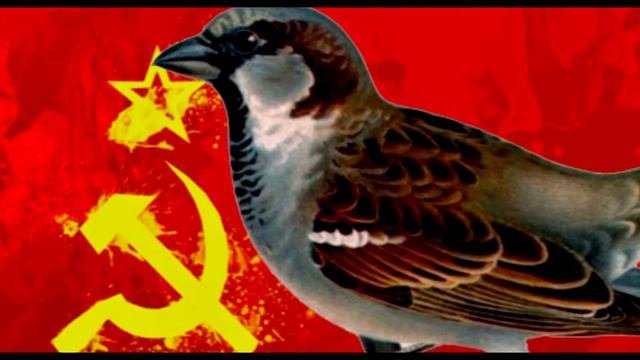 ВЕЛИЧАЙШИЕ ОШИБКИ ЛЮДЕЙ Ошибки, которые изменили всё!