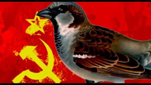 ВЕЛИЧАЙШИЕ ОШИБКИ ЛЮДЕЙ Ошибки, которые изменили всё!