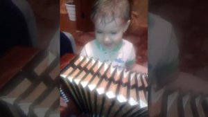 Сын играет на гармошке!!!
