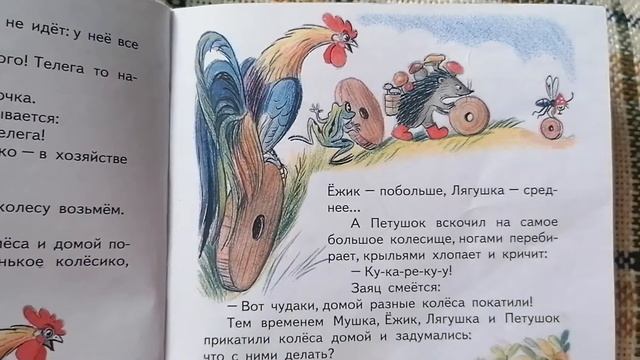 Читаем сказки Сутеева Разные колёсаи другие