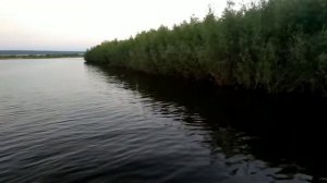 Лодка ДНЕПР И МОТОР HONDA BF40 4 ТАКТА (ЗАПИСЬ 29.07.2018).