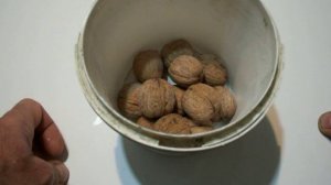 Совет.Как приготовить и употреблять грецкие орехи