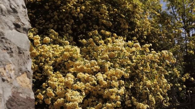 "Открытый воздух. Крым. 2019" Изо проект ПАРТА смотреть онлайн