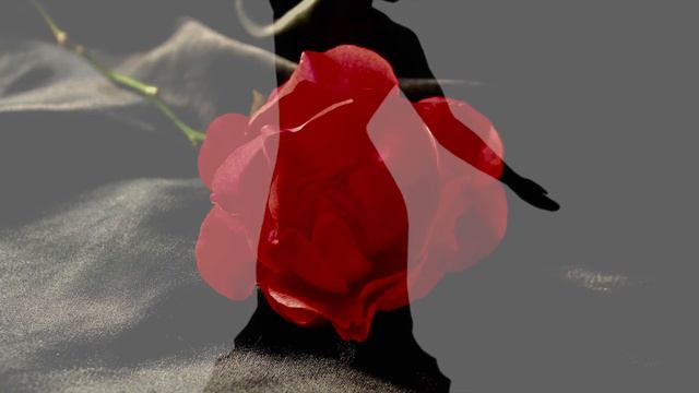 Pier Adolfo Tirindelli - L'ombra di Carmen, per canto e pianoforte смотреть онлайн