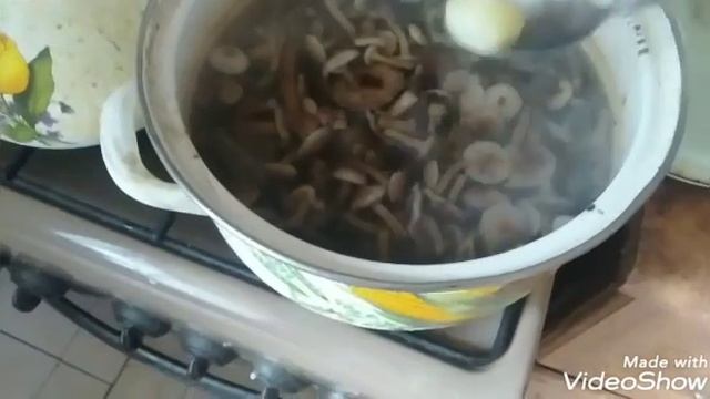 как узнать если грибы таксичные смотреть онлайн