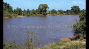 «От истока до устья Ишима». Чарующая красота природы в работах Александра Короткова