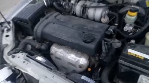 Ланос поляк