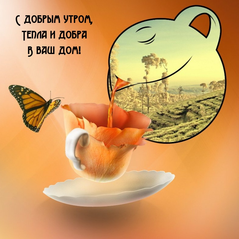 С добрым утречком, хорошего денечка! Хочется пожелать чудесной погод