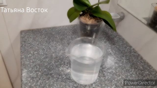 Чем подкормить часто цветущую? орхидею? смотреть онлайн