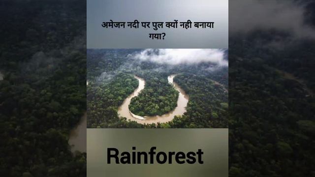 #amazon नदी पर पुल क्यों 🤔 नही बनाया जाता है🤔🤔 #amazon rainforest