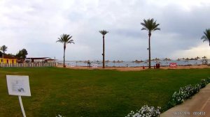 Otium Family Amphoras Beach (ex. Shores Amphoras)5 Египет, Шарм-эль-Шейх отель на 5*