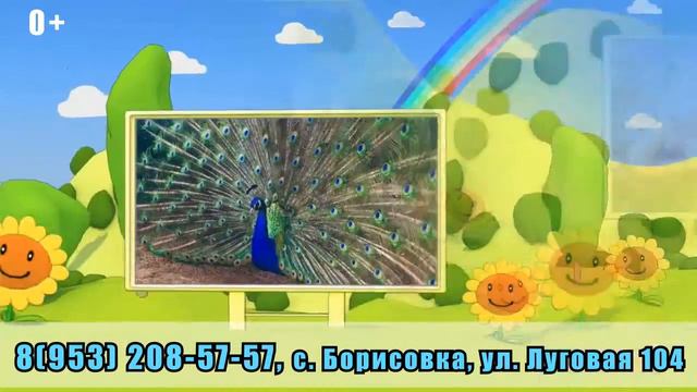 Рекламный ролик зоопарка "Чудесный", г. Уссурийск смотреть онлайн