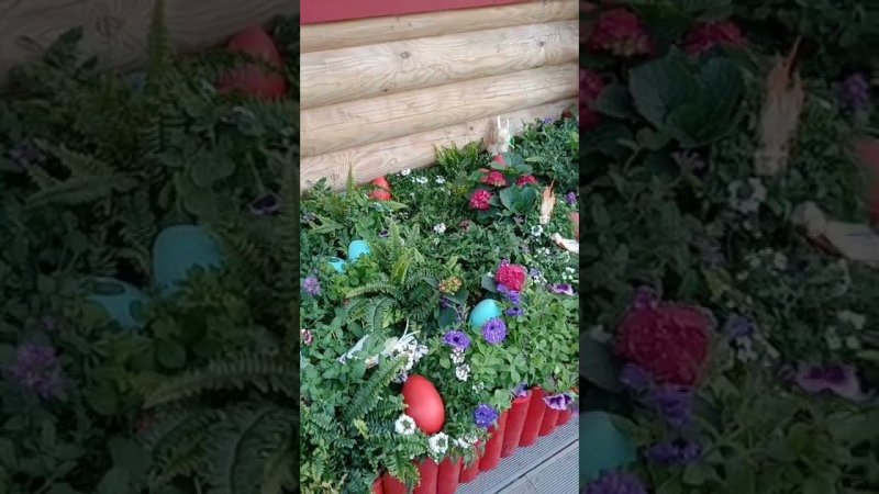 Что цветет на Московских сезонах в апреле