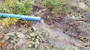 Углубил скважину, сколько воды дают родники. Обзор нового дома что купили.