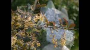 а за окошком месяц май