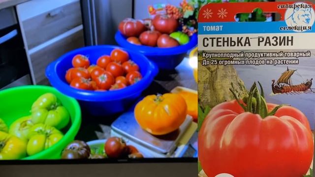 Томаты "СИБИРСКИЙ САД". Обзор 2022. смотреть онлайн