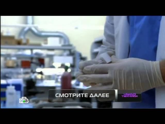 "Чудо техники": Гаджеты эконом-класса, авиабилеты в Интернете и обезжиренные продукты