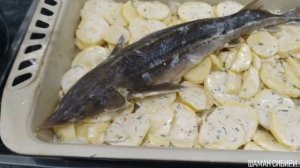 Стерлядь, запечённая в духовке! Рецепт приготовления.