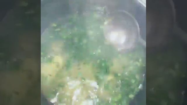 Зеленый борщ со щавлем смотреть онлайн