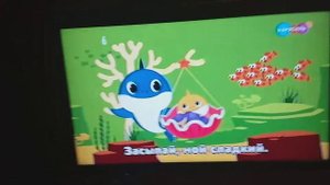 Сейчас На КАРУСЕЛЬ Акулёнок Смотрите На КАРУСЕЛЬ