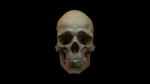 Окно 3D. Управление трехмерным объектом.