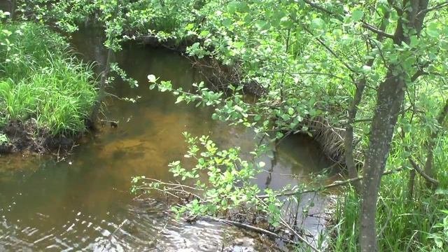 Гжель  Речка Сеченка
